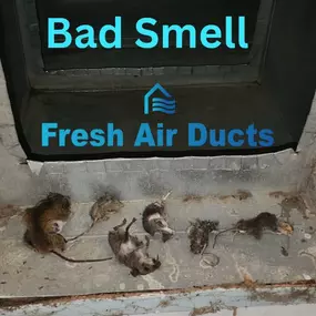 Bild von Fresh Air Ducts