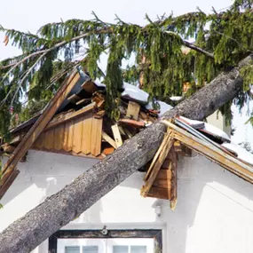 Storm Damage Restoration