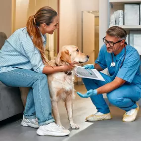 Bild von Wyomissing Animal Hospital