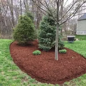 Bild von N&OUT LAWNCARE SERVICE LLC