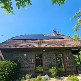 Bild von Yellowflowtaik