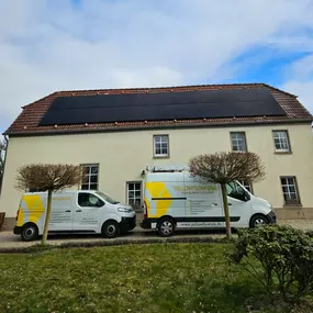 Bild von Yellowflowtaik