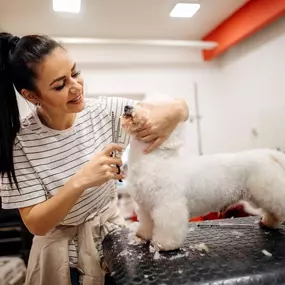 Durable, ergonomic grooming shears made for pet pros who care.