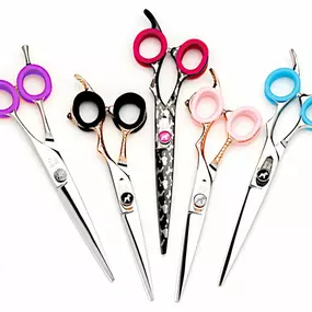 Keep your tools in top shape with must-have shear accessories.