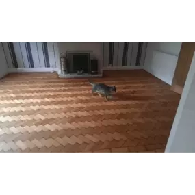 Bild von The Ultimate Floor Sanding Co