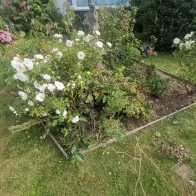 Bild von Prostyle Gardening & Home Services