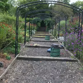 Bild von Prostyle Gardening & Home Services