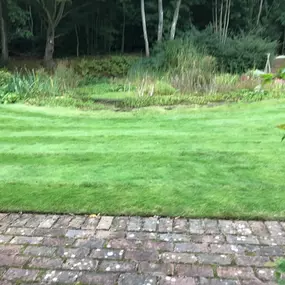Bild von Prostyle Gardening & Home Services