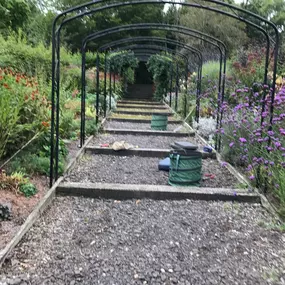 Bild von Prostyle Gardening & Home Services