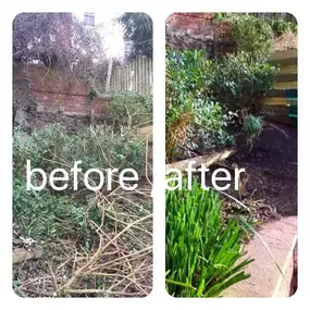 Bild von Prostyle Gardening & Home Services