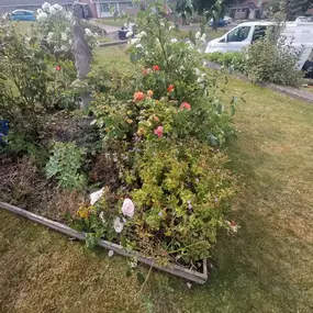 Bild von Prostyle Gardening & Home Services