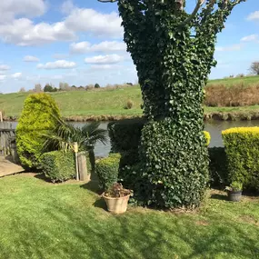Bild von Prostyle Gardening & Home Services