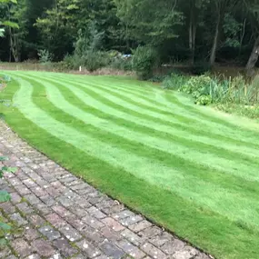 Bild von Prostyle Gardening & Home Services