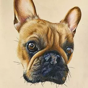 Bild von BDpainting