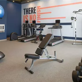 Health club  fitness center  gym