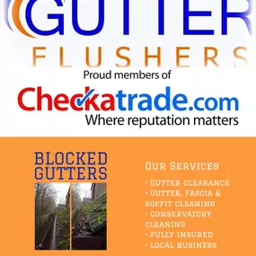 Bild von The Gutter Flushers Ltd.