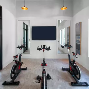 camden clearwater cycle and spin studio