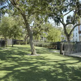 camden clearwater apartments in clearwater, fl outdoor dog park