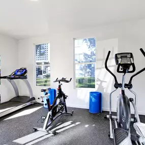 A gym with treadmills and bikes in a room with windows