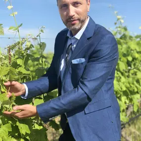 Bild von Champagne & Caves LOUIS BALINCOURT