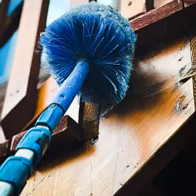 Exterminator Show Low