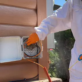 Exterminator Show Low AZ