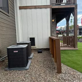 Exterminator Show Low AZ