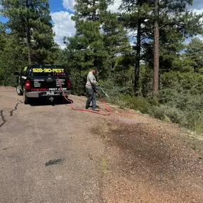 Pest Service Show Low AZ