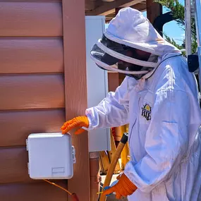 Pest Control Show Low