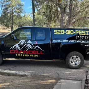 Pest Control Lakeside AZ