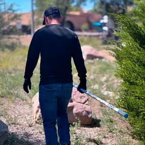 Pest Control Show Low