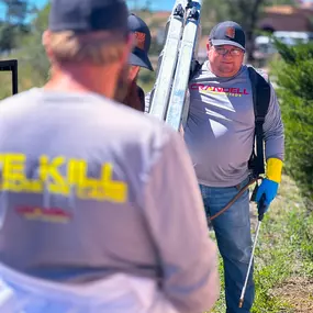 Pest Control Show Low Az