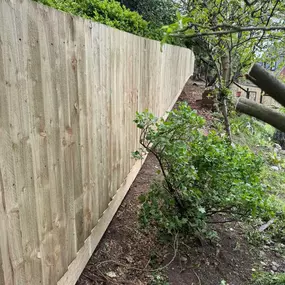 Bild von Rosedale Fencing