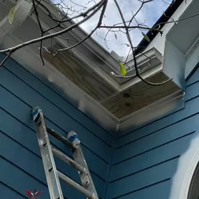 A close-up view of a house exterior, showing blue siding and white trim. A silver ladder leans against the wall, suggesting ongoing work or maintenance on the structure.