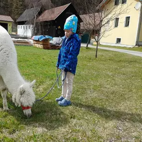 Bild von Alpakafarm und Erlebnisbauernhof Lechner