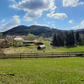 Bild von Alpakafarm und Erlebnisbauernhof Lechner