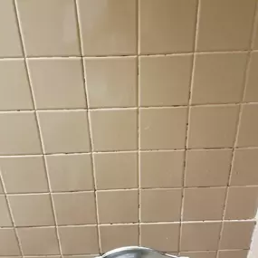 This image captures a shower wall with light beige square tiles and noticeable dark mold or mildew buildup in the grout lines. A silver shower valve is visible at the bottom, illustrating a common bathroom area needing professional grout cleaning by The Groutsmith.