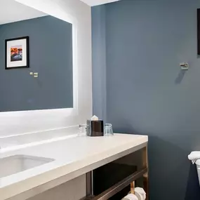 Guest room bath