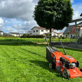 Bild von Grünlandpflege M.O