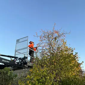 Bild von Grünlandpflege M.O