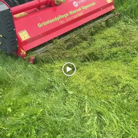 Bild von Grünlandpflege M.O