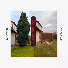 Bild von Grün & Glanz Außenreinigung und Gartenpflege