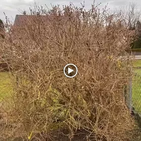 Bild von Grün & Glanz Außenreinigung und Gartenpflege