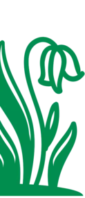 Bild von Grün & Glanz Außenreinigung und Gartenpflege