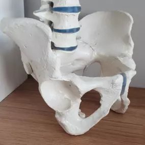 Praxis für Osteopathie Susanne Feder