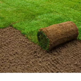 Lawn Care Services