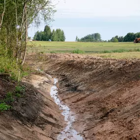 Bild von Arbor Landscape 2.0