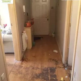 Bild von South Coast Clearance Services Ltd