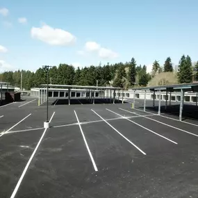 Daffodil Storage in Olympia, WA