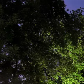 Bild von The Shire Canopy Company